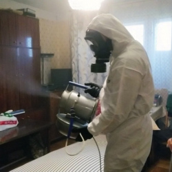 Дезинфекция от клопов в Гжели
