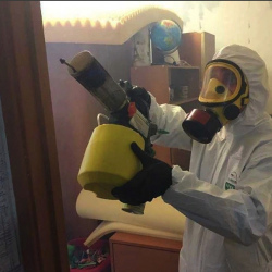 Уничтожение клопов в квартире. Гжель